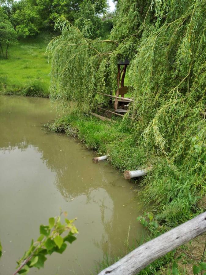 Hotel Dudarik Kosiv Luaran gambar